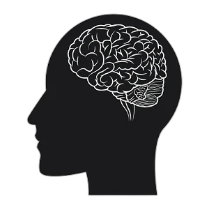 Cerveau