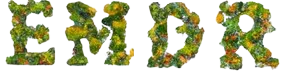 EMDR écrit en feuilles végétales